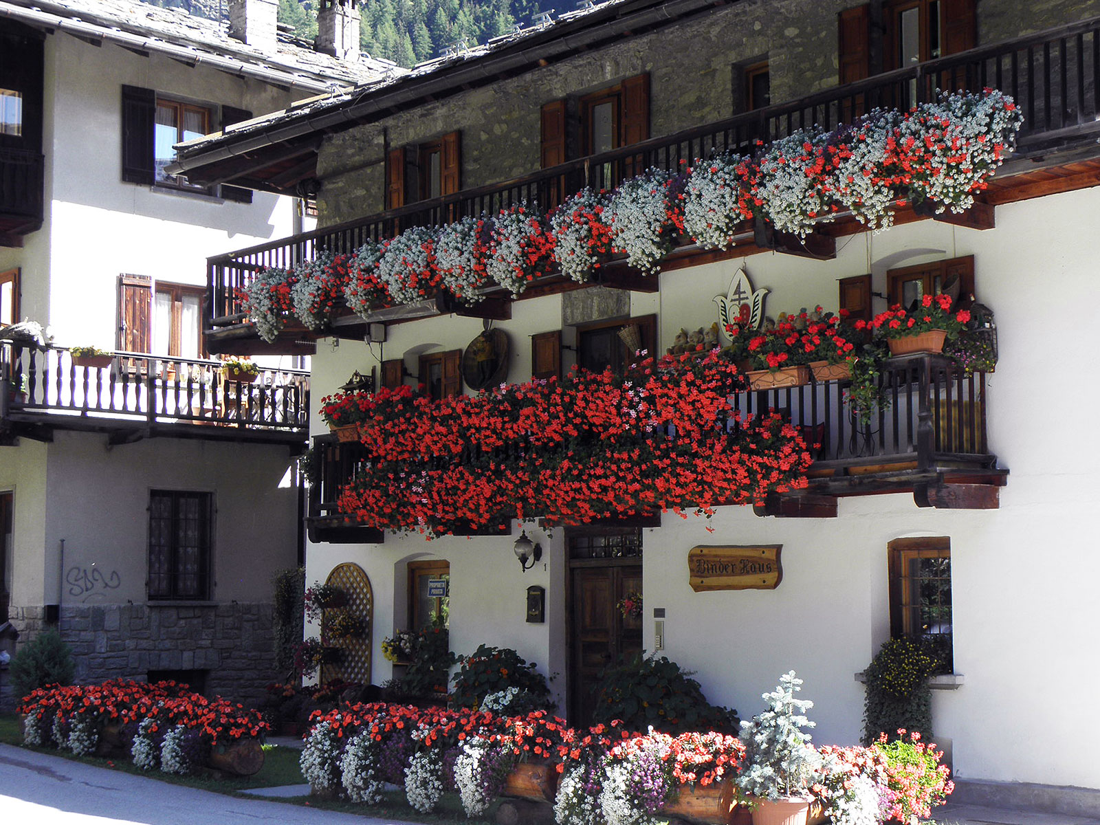 Floricoltura Golasecca