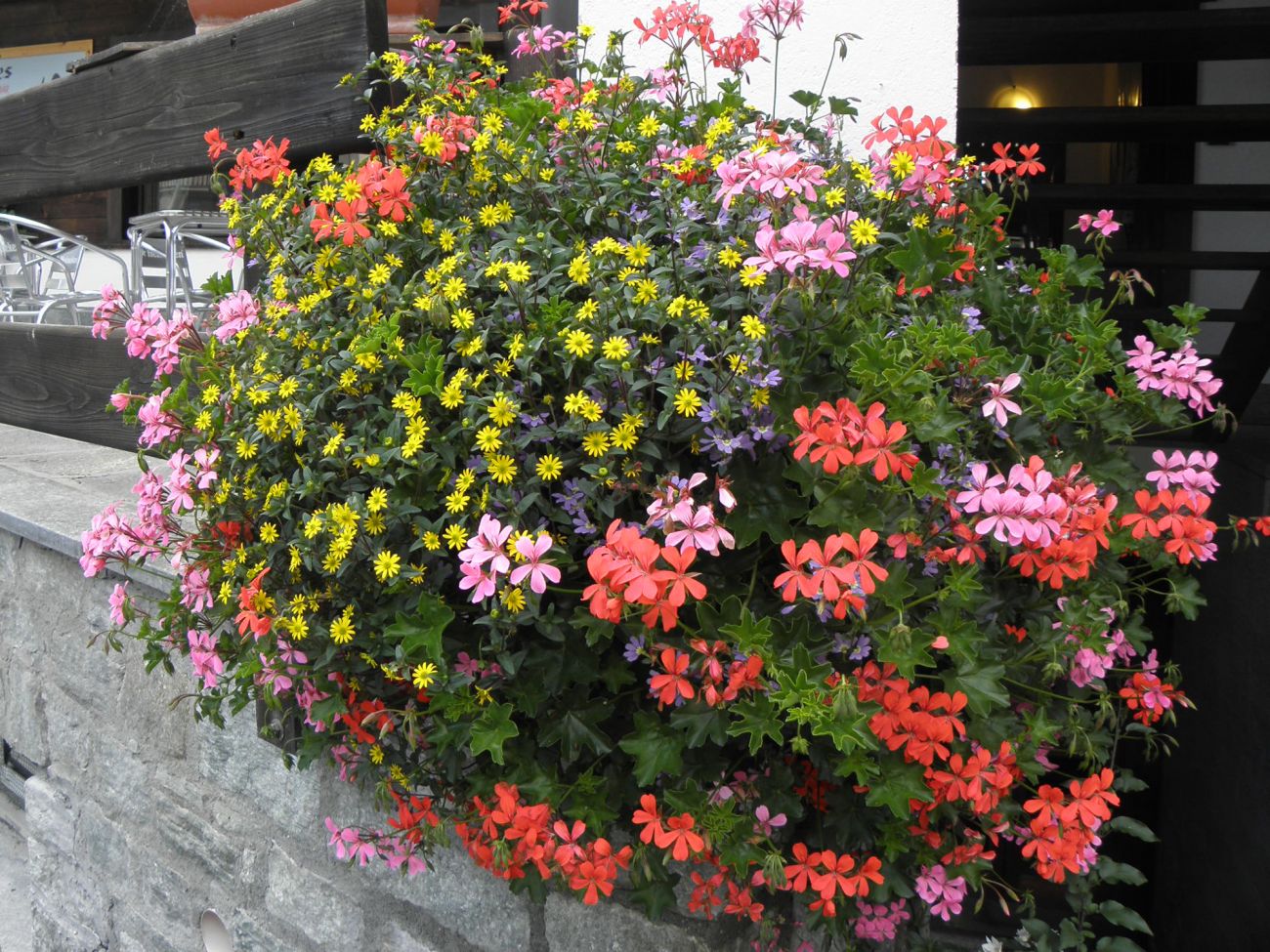 Balconi fioriti - Gressoney Saint Jean