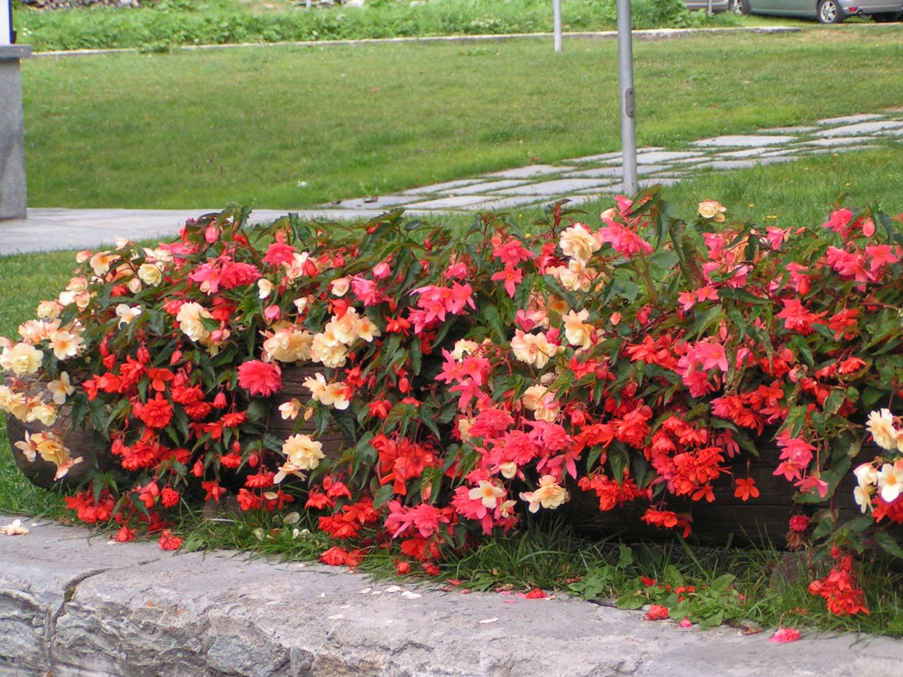 Arredo urbano floreale - Gressoney Saint Jean
