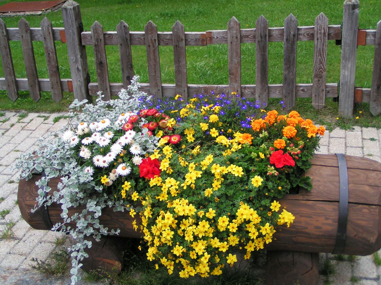 Arredo urbano floreale - Gressoney La TrinitÃ©