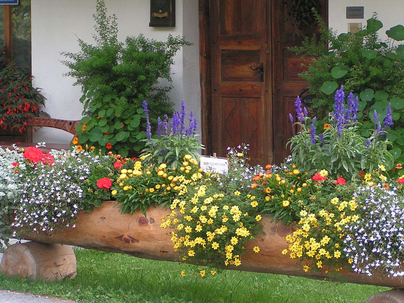 Arredo urbano floreale - Gressoney Saint Jean