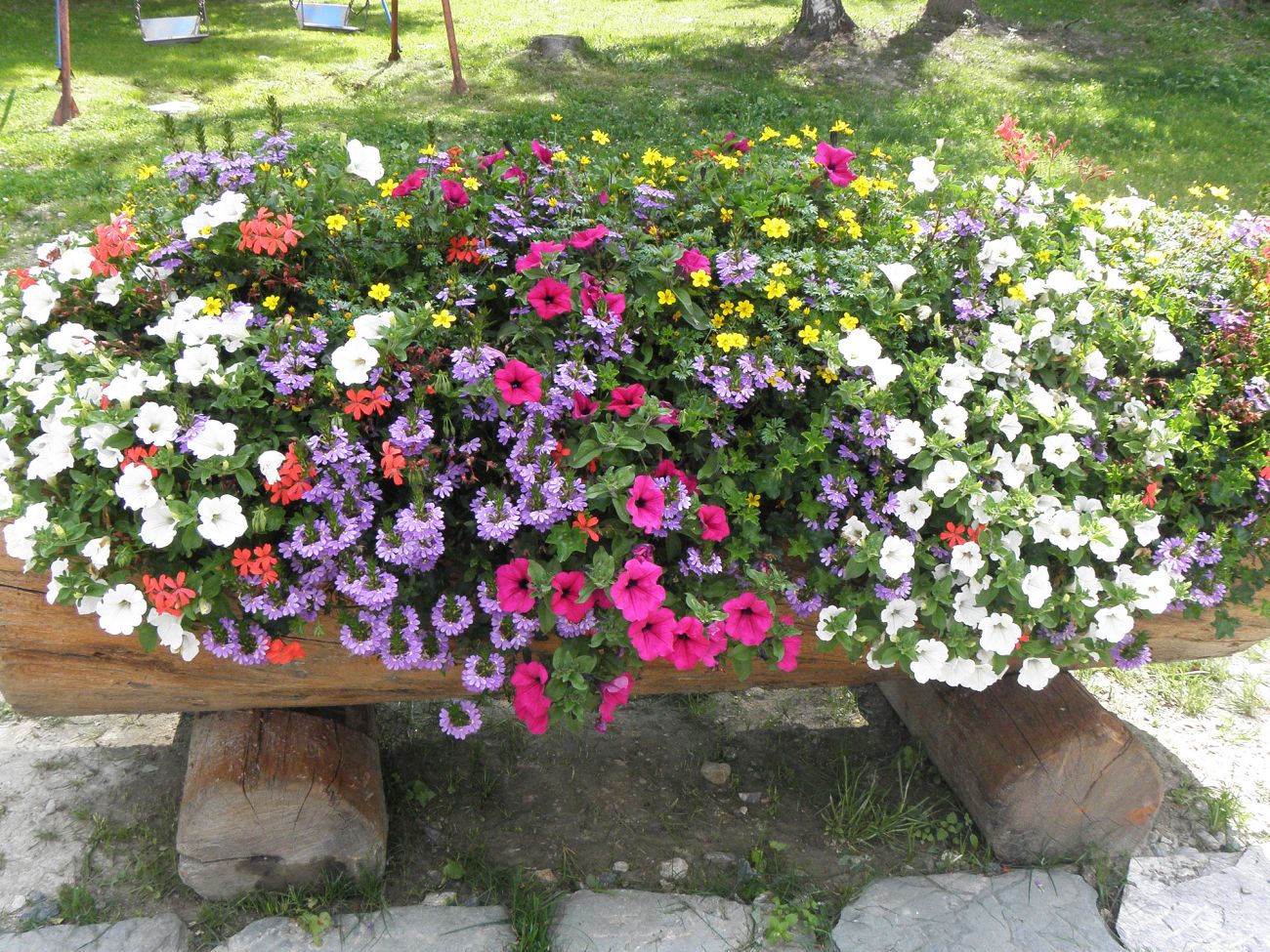 Balconi fioriti - Gressoney Saint Jean
