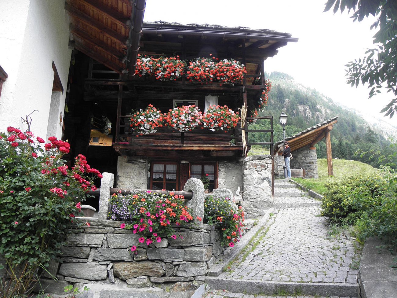 Balconi fioriti - Gressoney Saint Jean