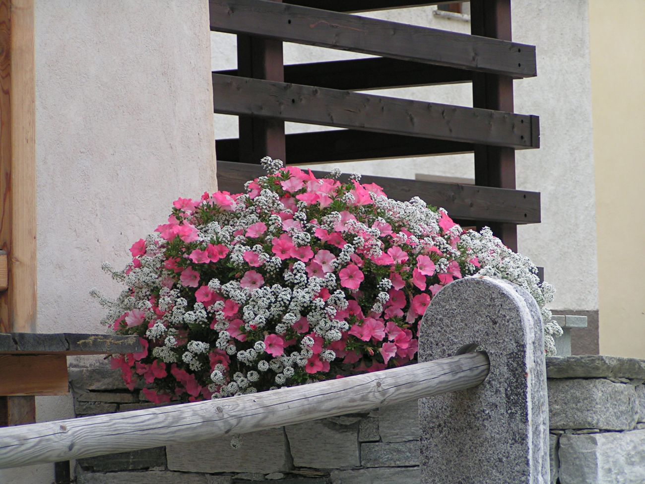 Arredo urbano floreale - Gressoney La TrinitÃ©
