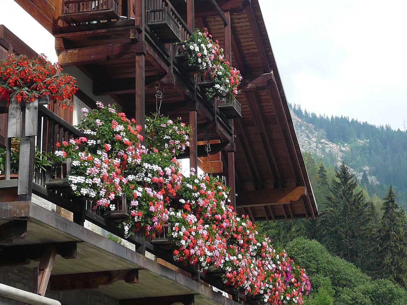 Balconi fioriti - Gressoney Saint Jean