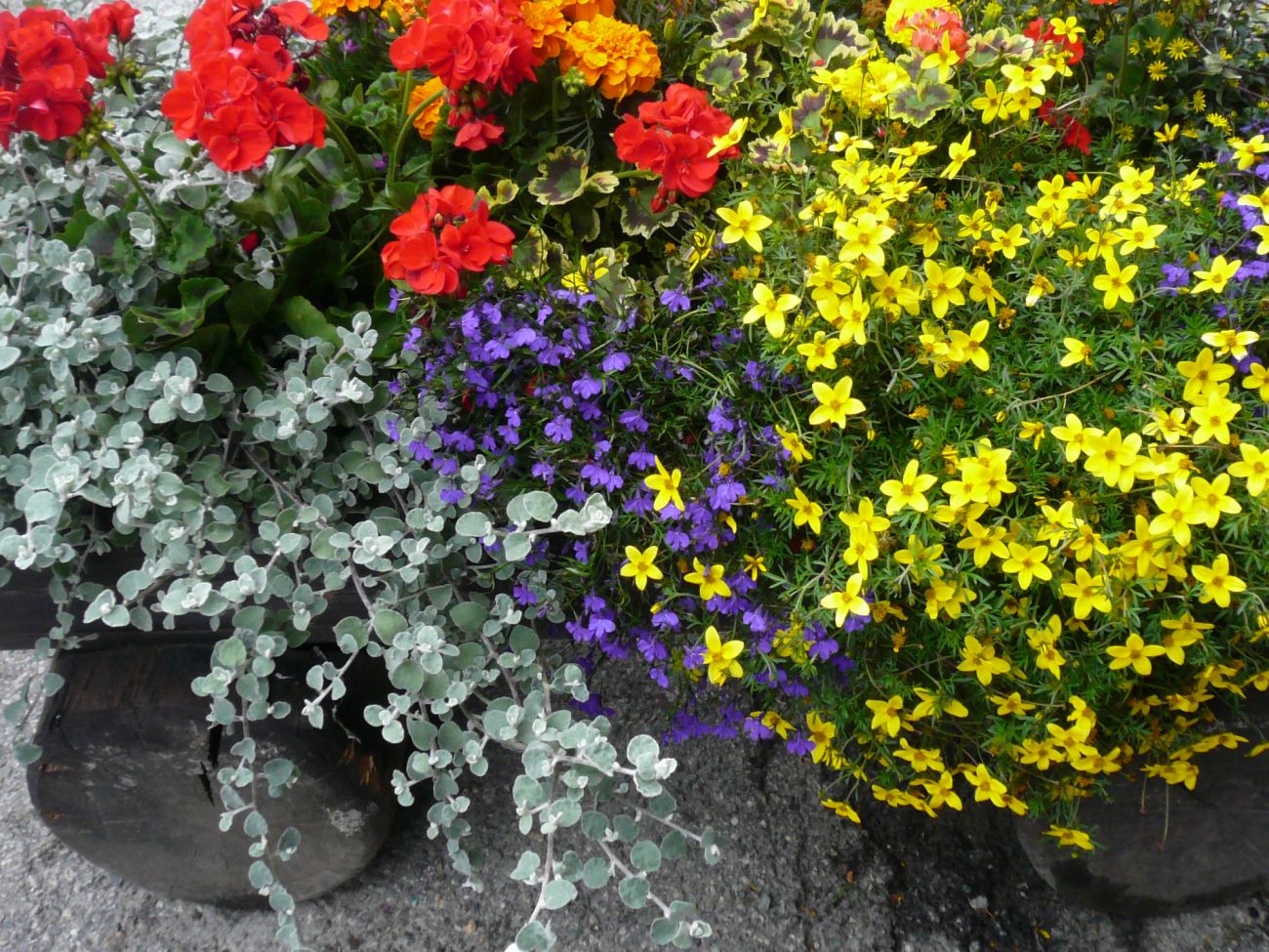 Arredo urbano floreale - Gressoney La TrinitÃ©