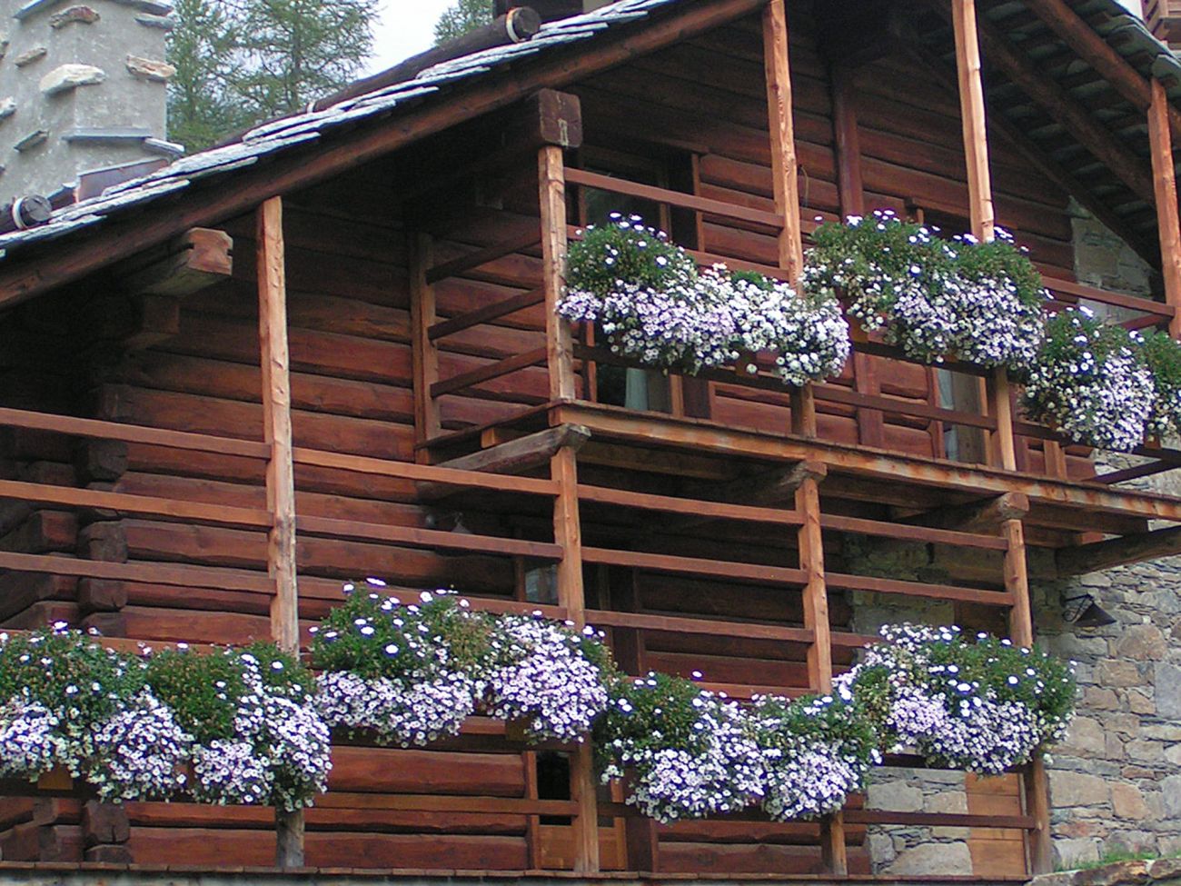 Balconi fioriti - Gressoney La TrinitÃ©