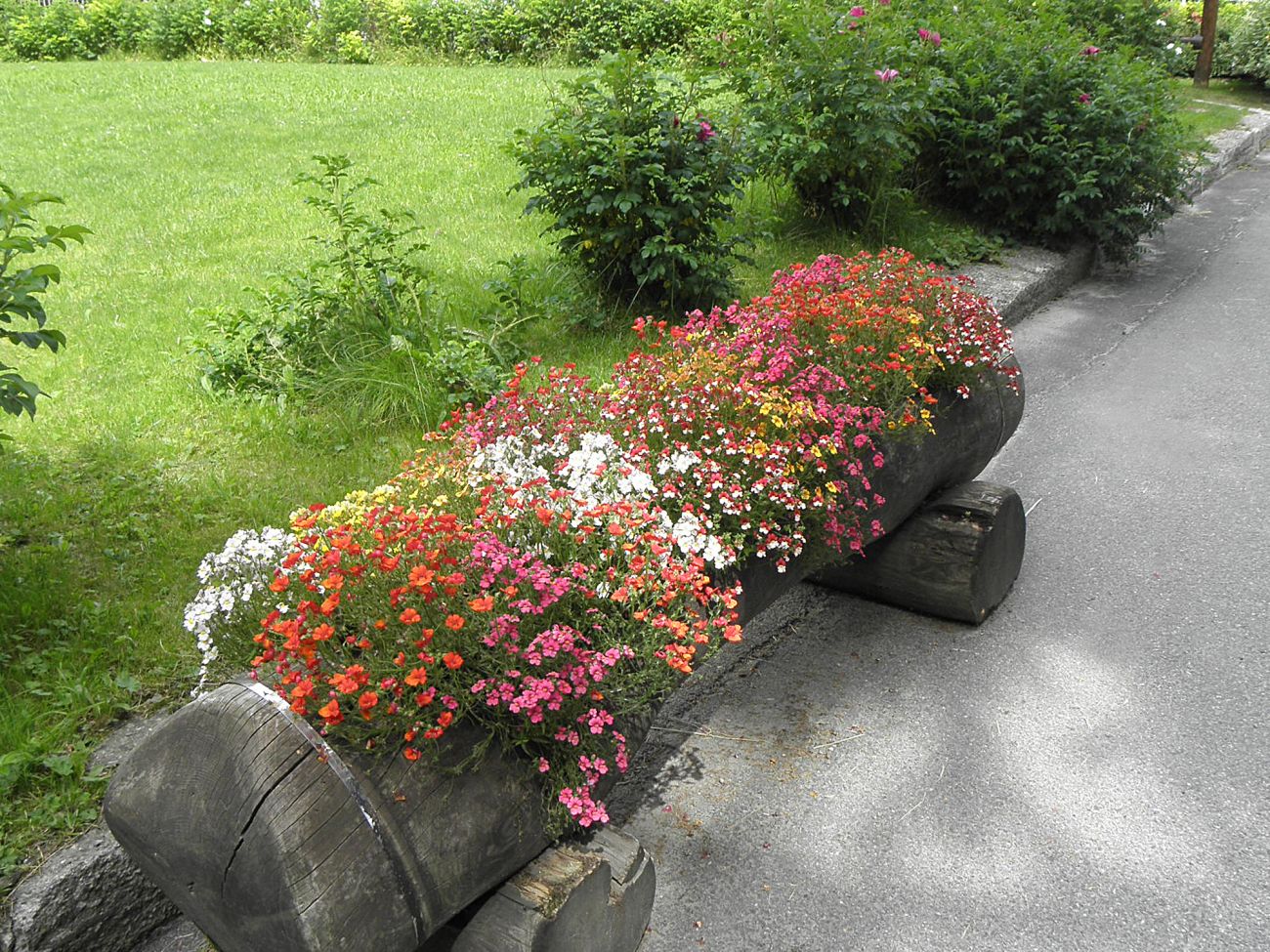 Arredo urbano floreale - Gressoney La TrinitÃ©