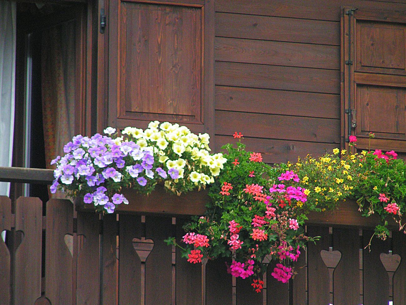 Balconi fioriti - Gressoney La TrinitÃ©