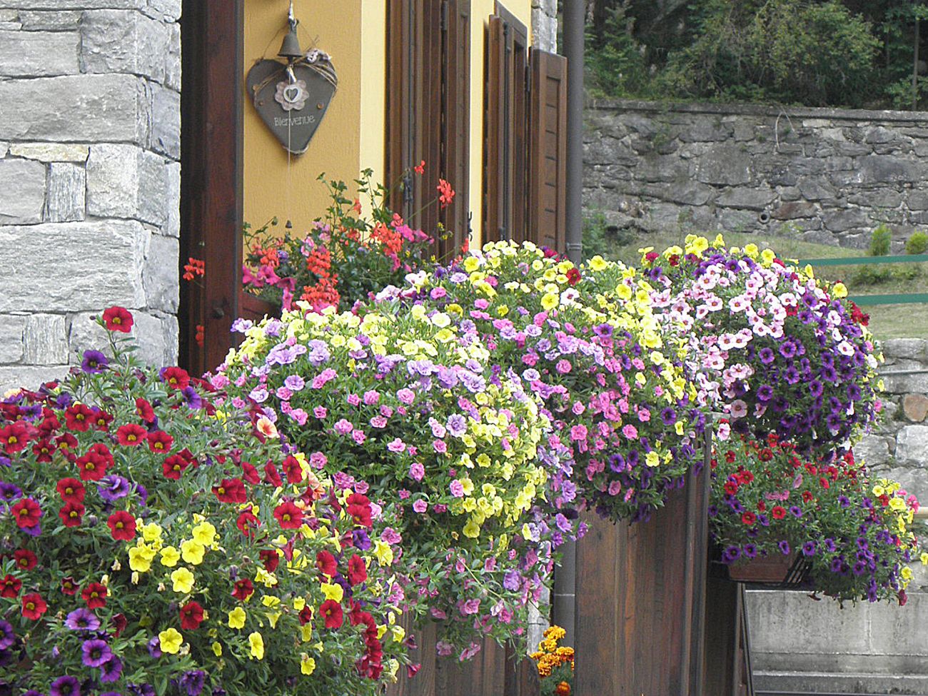 Balconi fioriti - Gressoney Saint Jean