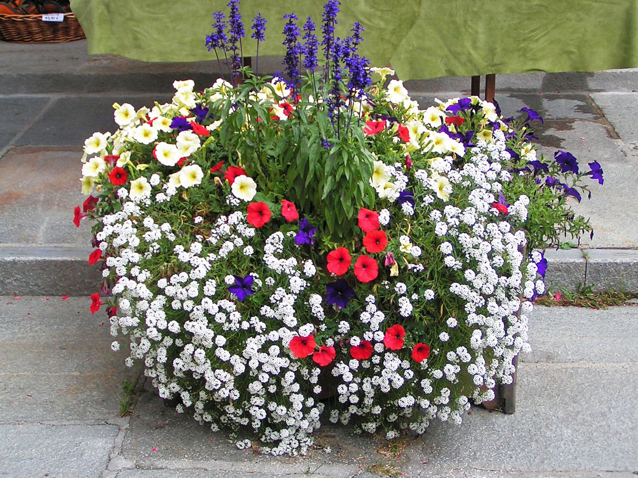 Arredo urbano floreale - Gressoney Saint Jean