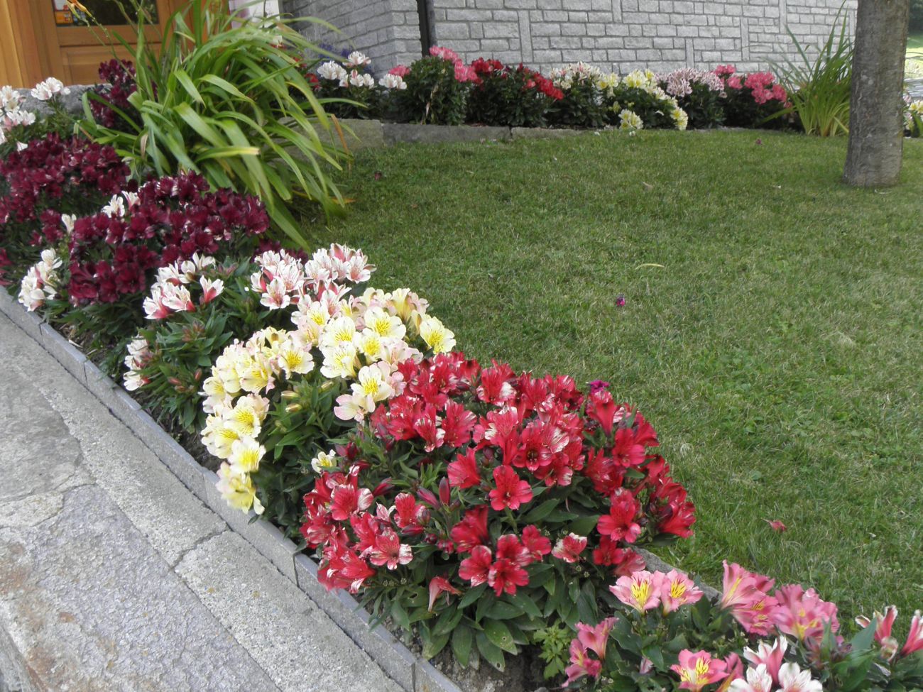 Arredo urbano floreale - Gressoney Saint Jean