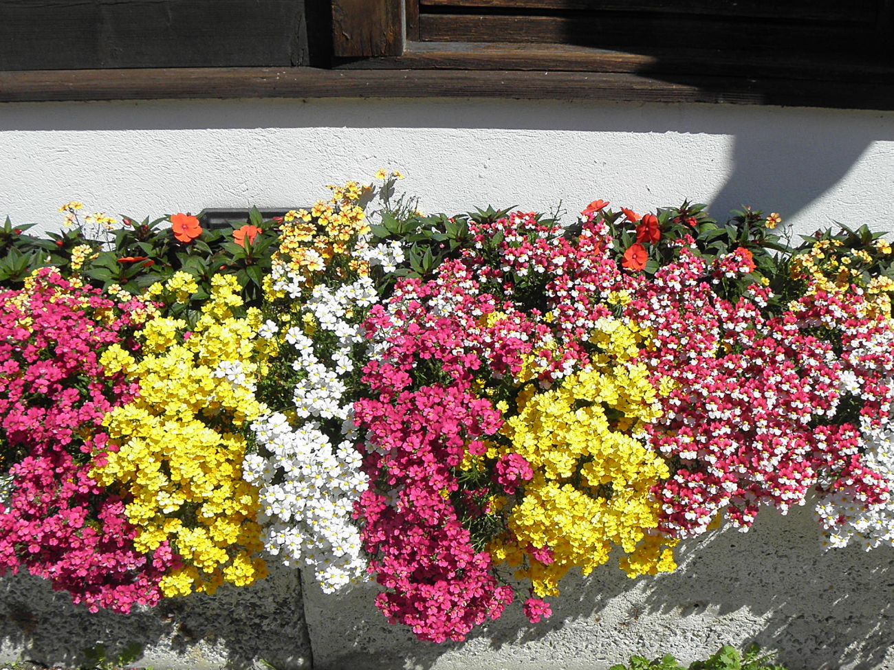 Balconi fioriti - Gressoney Saint Jean