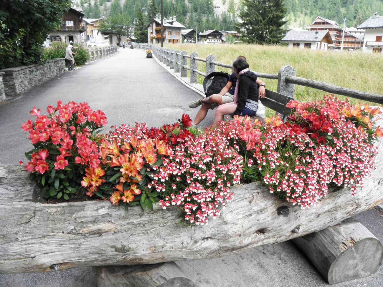 Arredo urbano floreale - Gressoney La TrinitÃ©