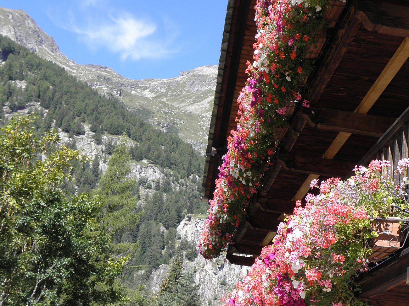 2014 > Gressoney Saint Jean