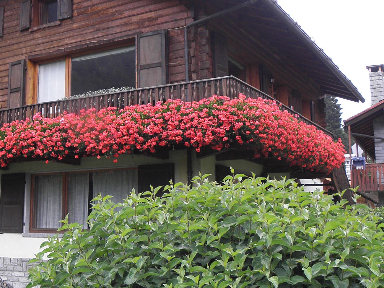 Balconi fioriti - Gressoney Saint Jean