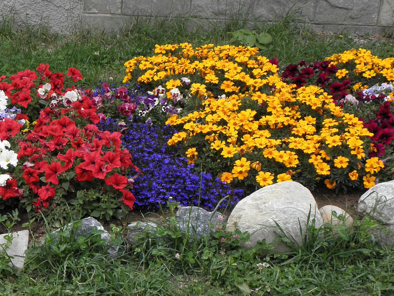 Arredo urbano floreale - Gressoney La TrinitÃ©