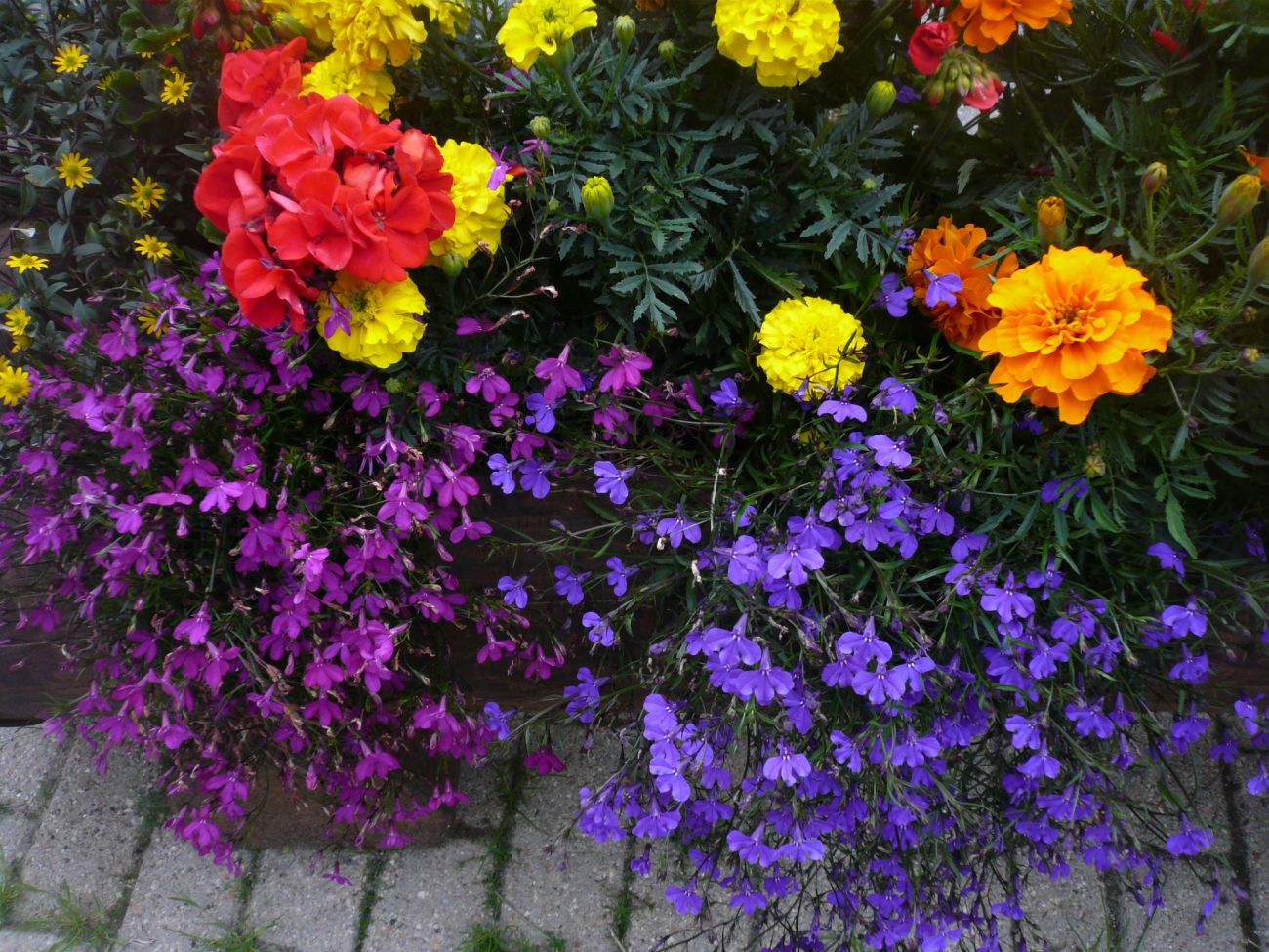 Arredo urbano floreale - Gressoney La TrinitÃ©