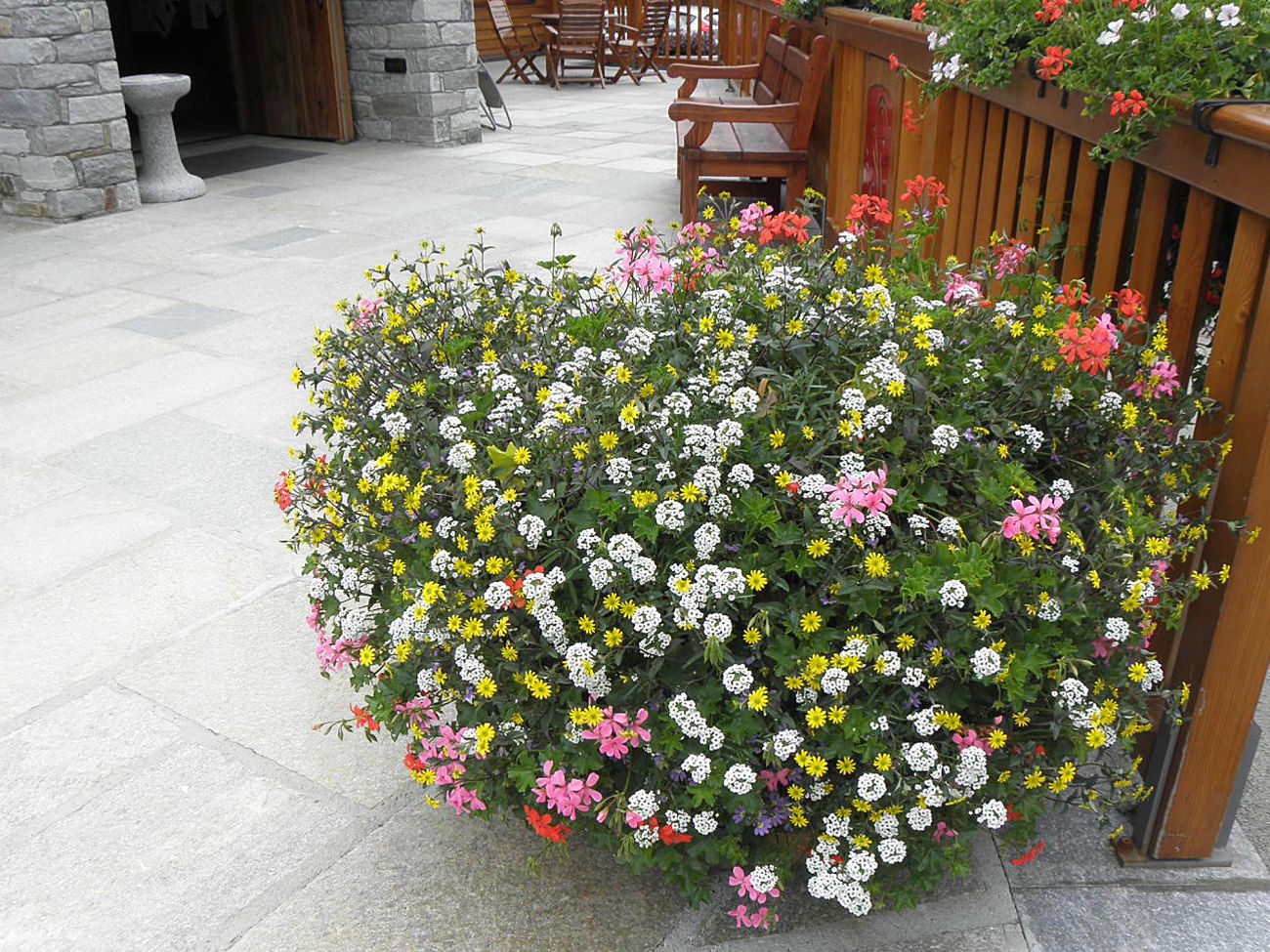 Arredo urbano floreale - Gressoney La TrinitÃ©