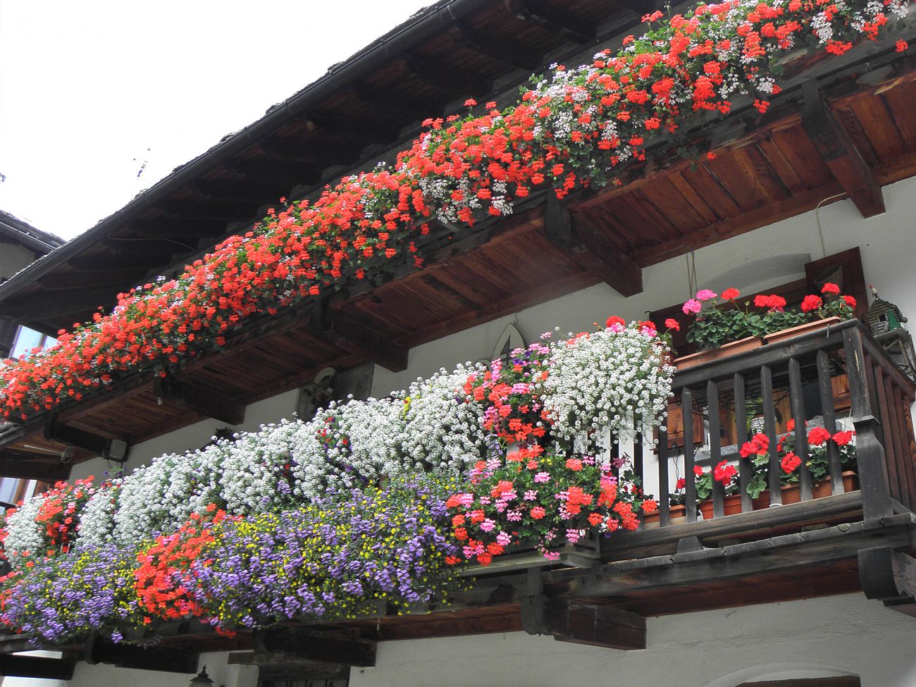 2012 > Gressoney Saint Jean
