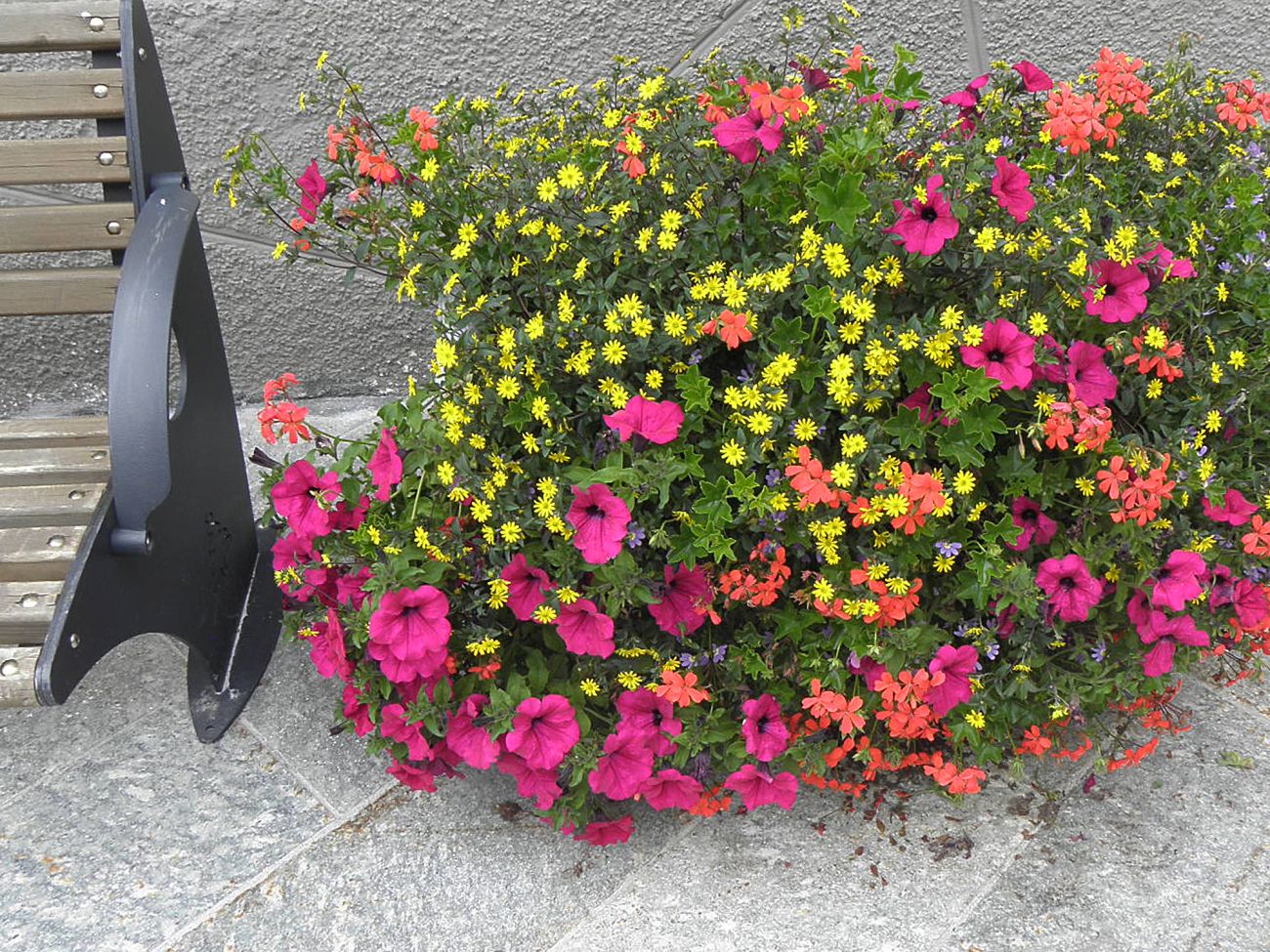 Arredo urbano floreale - Gressoney La TrinitÃ©