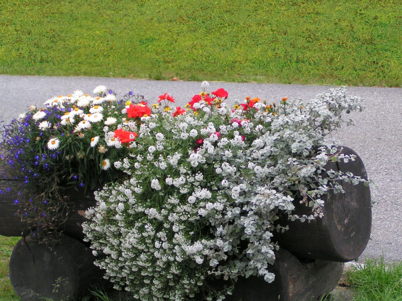 Arredo urbano floreale - Gressoney La TrinitÃ©