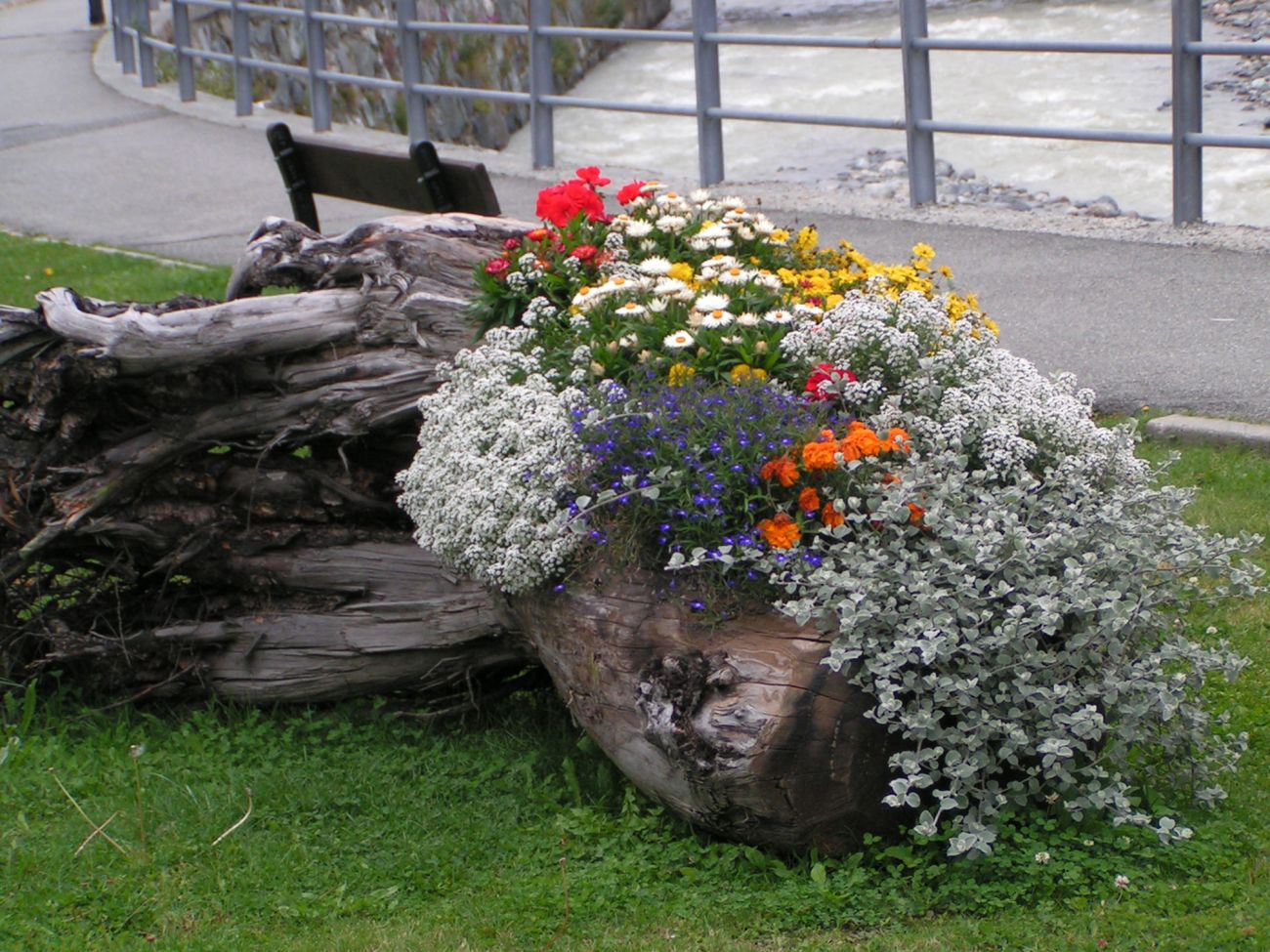 Arredo urbano floreale - Gressoney La TrinitÃ©