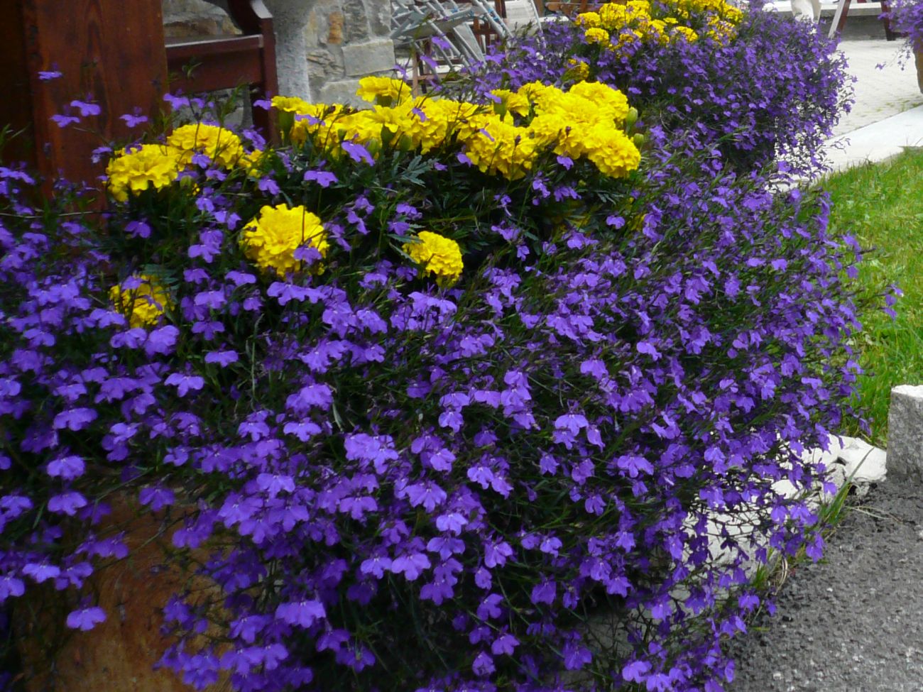Arredo urbano floreale - Gressoney La TrinitÃ©