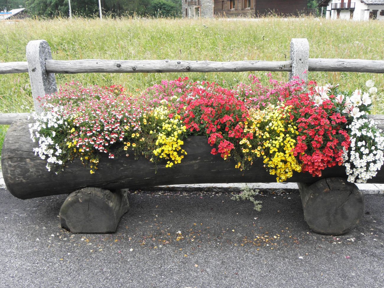 Arredo urbano floreale - Gressoney La TrinitÃ©