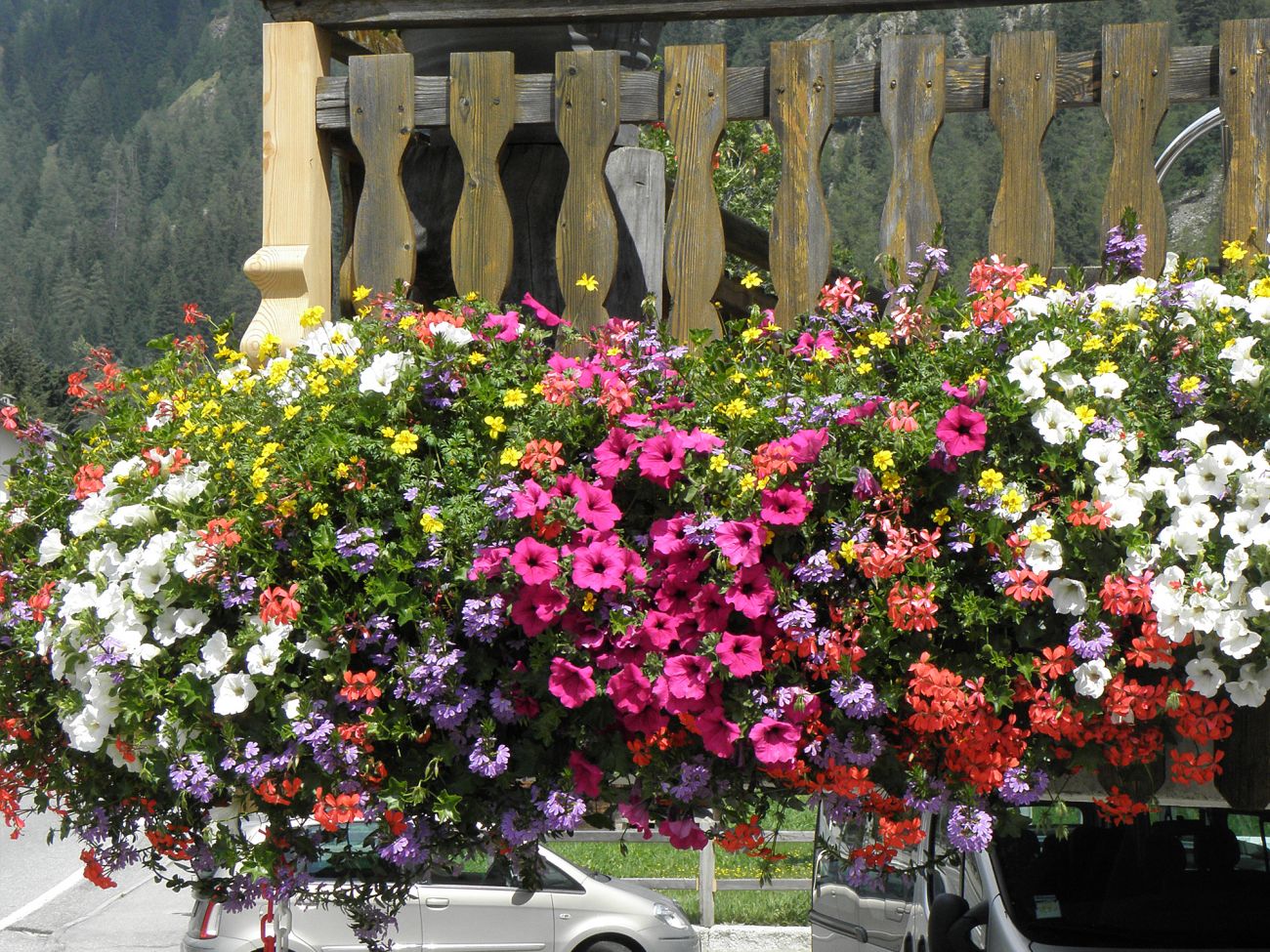 Balconi fioriti - Gressoney Saint Jean