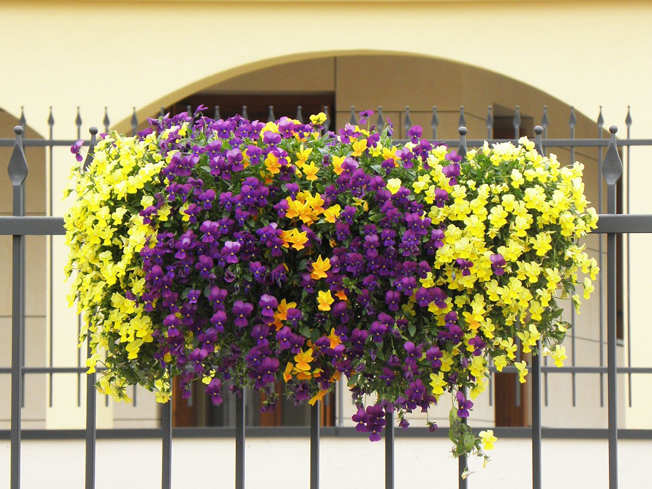Arredo urbano floreale - Assago