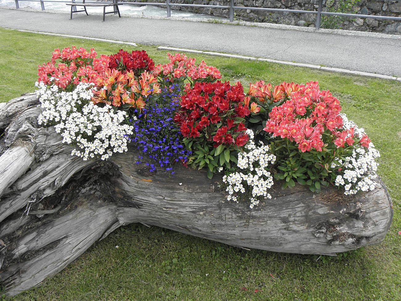 Arredo urbano floreale - Gressoney La TrinitÃ©