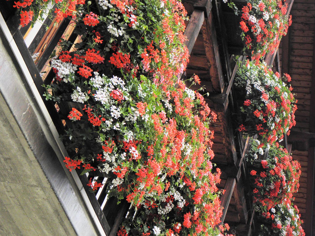 Balconi fioriti - Gressoney Saint Jean