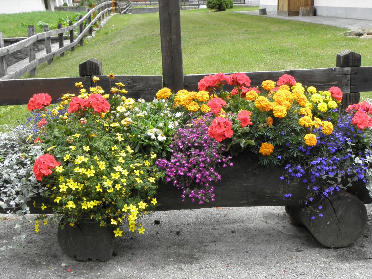 Arredo urbano floreale - Gressoney La TrinitÃ©