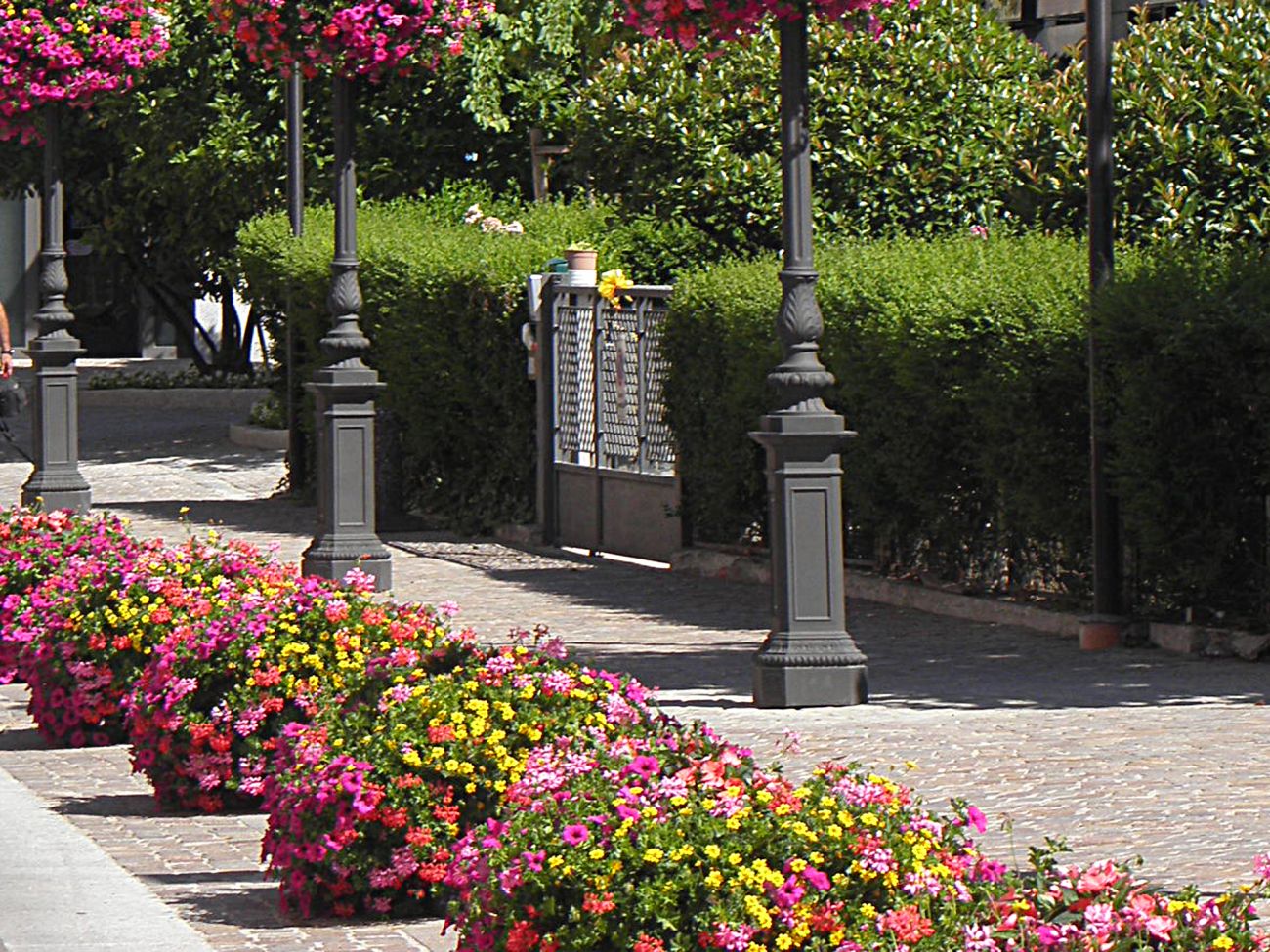 Arredo urbano floreale - Assago
