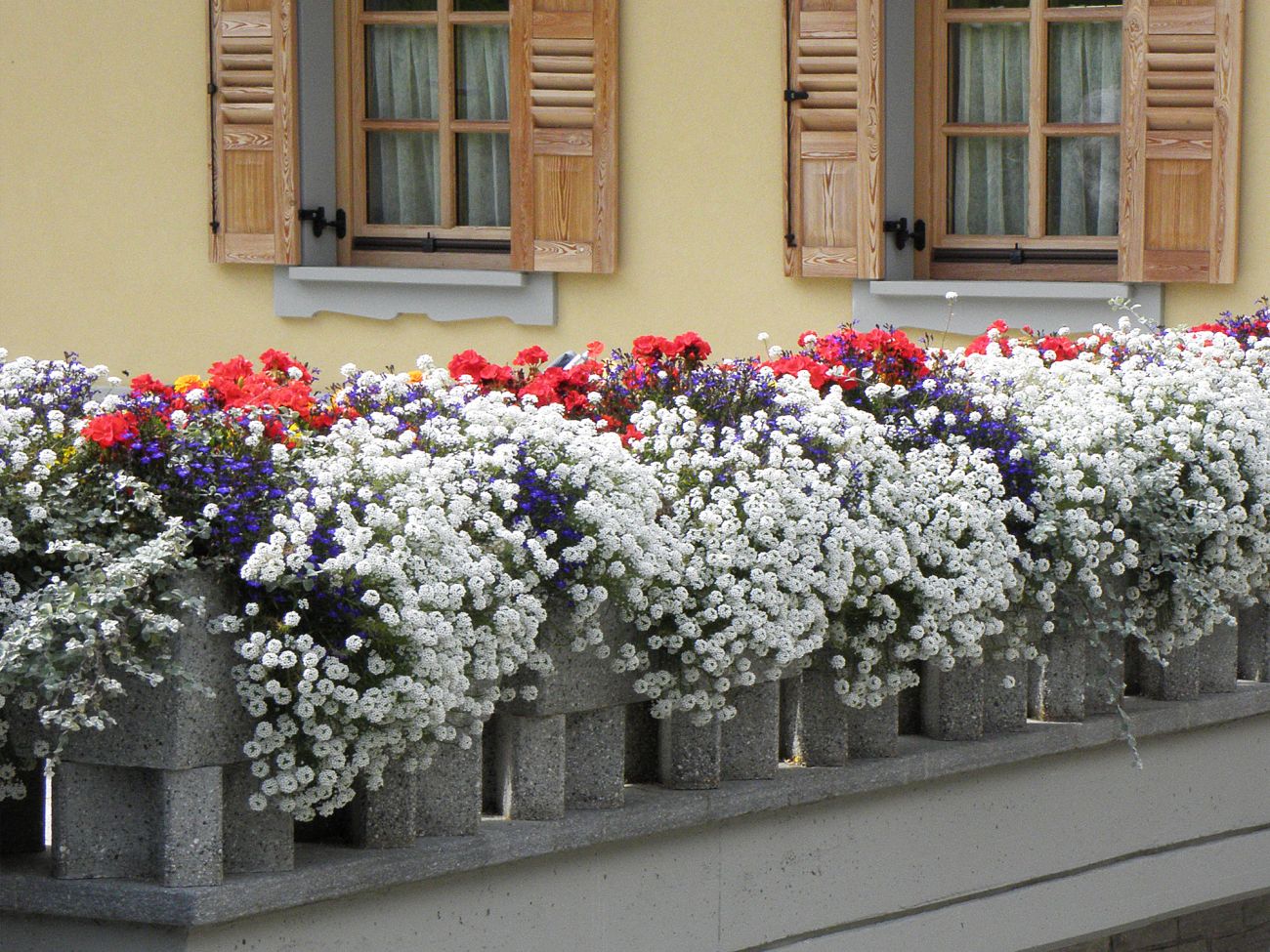 Balconi fioriti - Gressoney Saint Jean