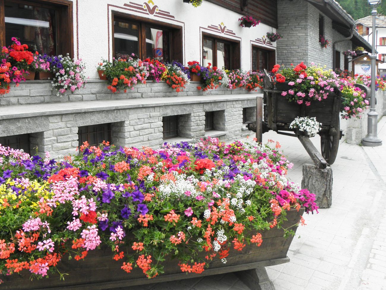 Arredo urbano floreale - Gressoney La TrinitÃ©