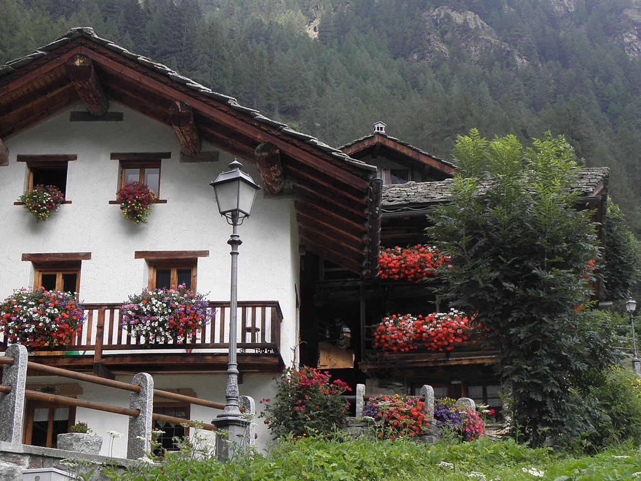 Balconi fioriti - Gressoney Saint Jean