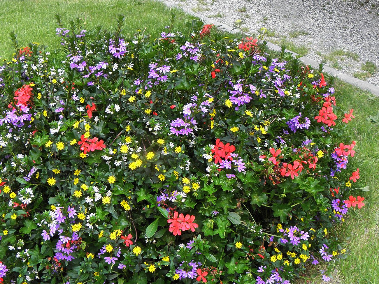Arredo urbano floreale - Gressoney Saint Jean