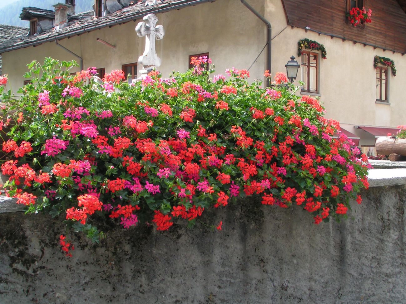 Arredo urbano floreale - Gressoney Saint Jean
