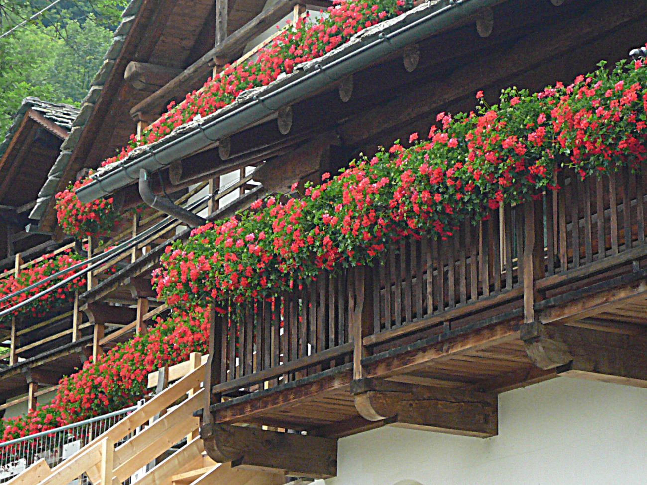 Balconi fioriti - Gressoney La TrinitÃ©