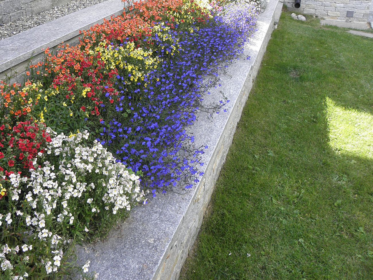 Balconi fioriti - Gressoney Saint Jean