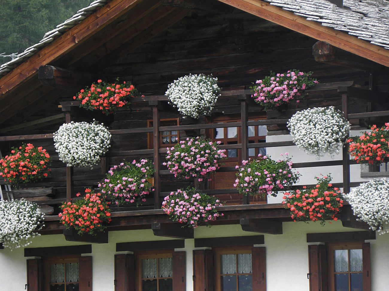 Balconi fioriti - Gressoney La TrinitÃ©