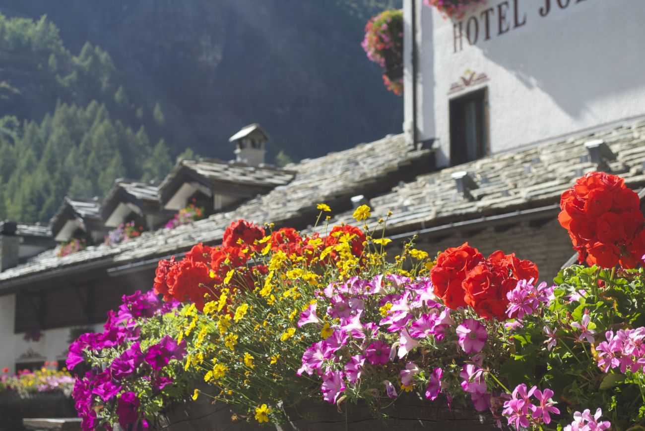 Hotel Jolanda Sport