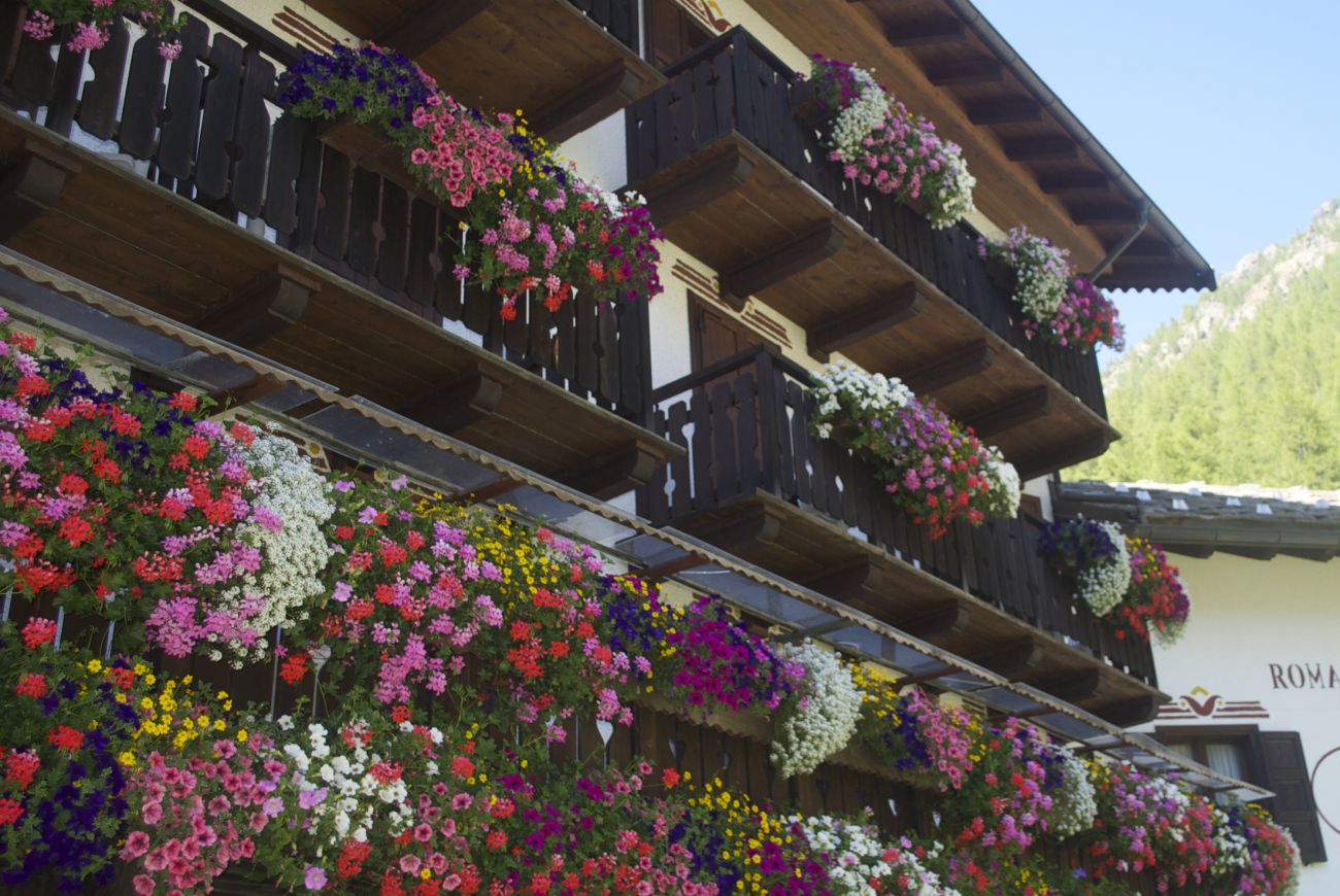 Hotel Jolanda Sport