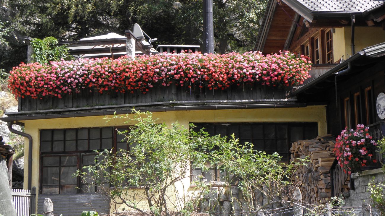 casa Sala