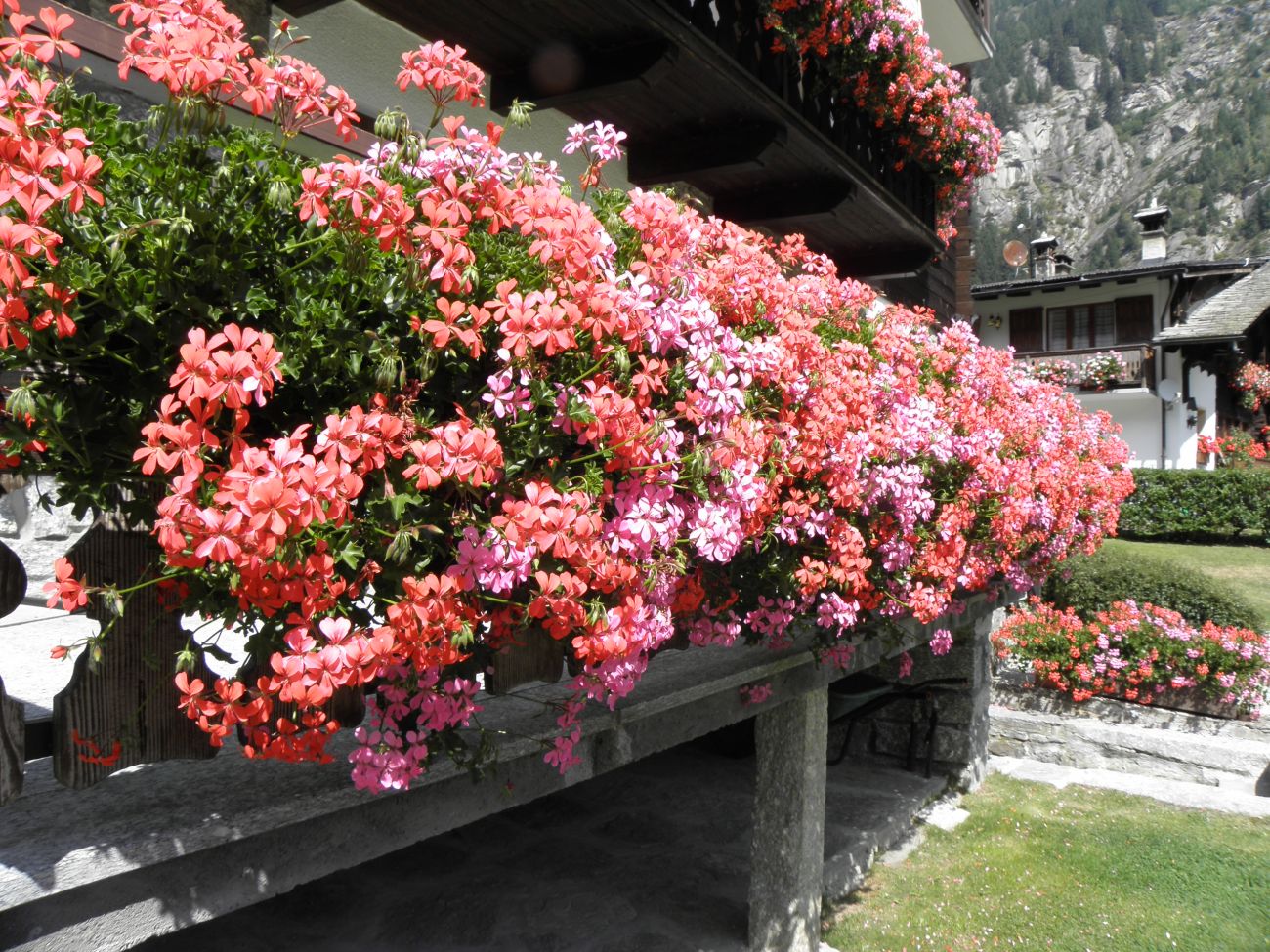 balconi fioriti