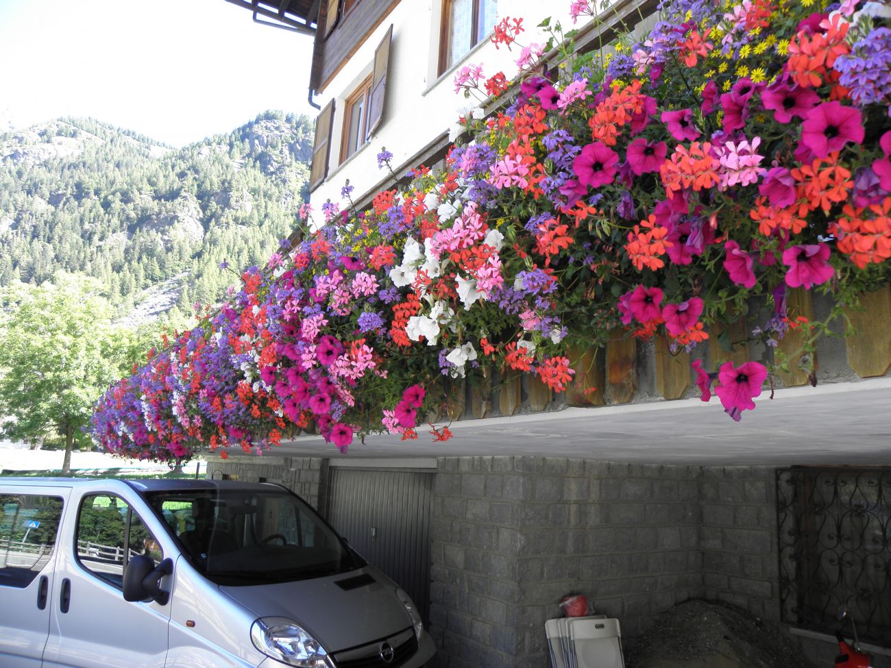 Hotel Floralpina