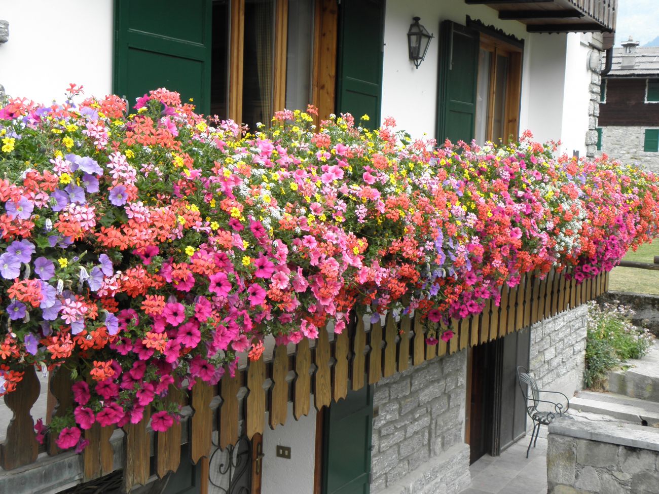 casa Aspesi