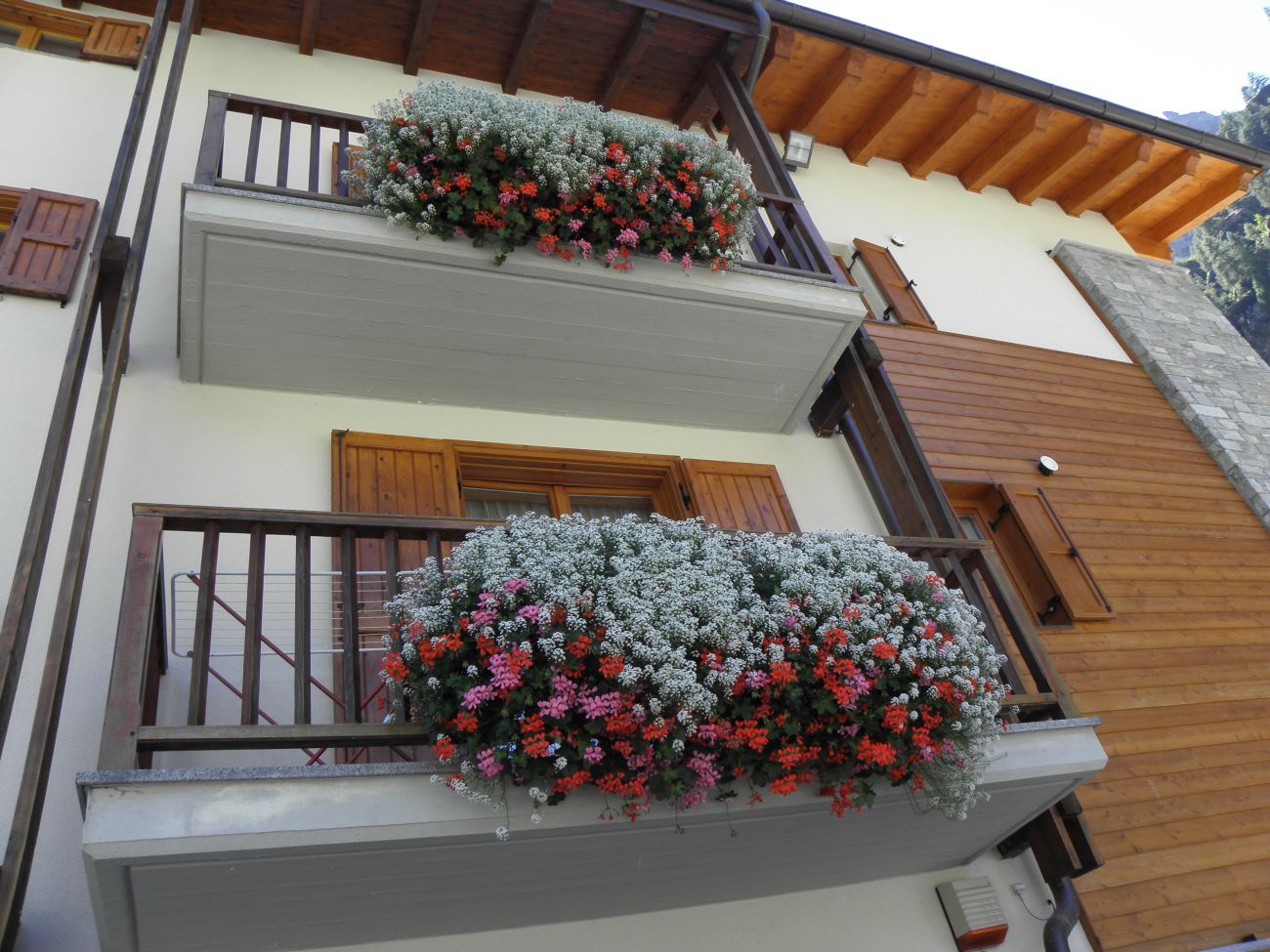 Hotel lo Scoiattolo